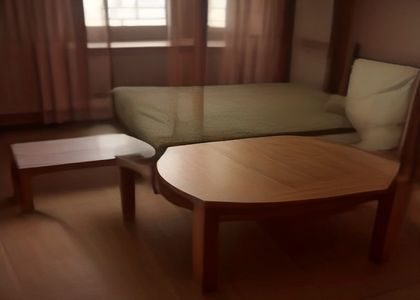心理咨询室内专业心理咨询师与来访者进行家庭伦理议题深度访谈，暖光桌灯映照书架，氛围沉静专业，体现和母亲爱爱相关心理干预场景
